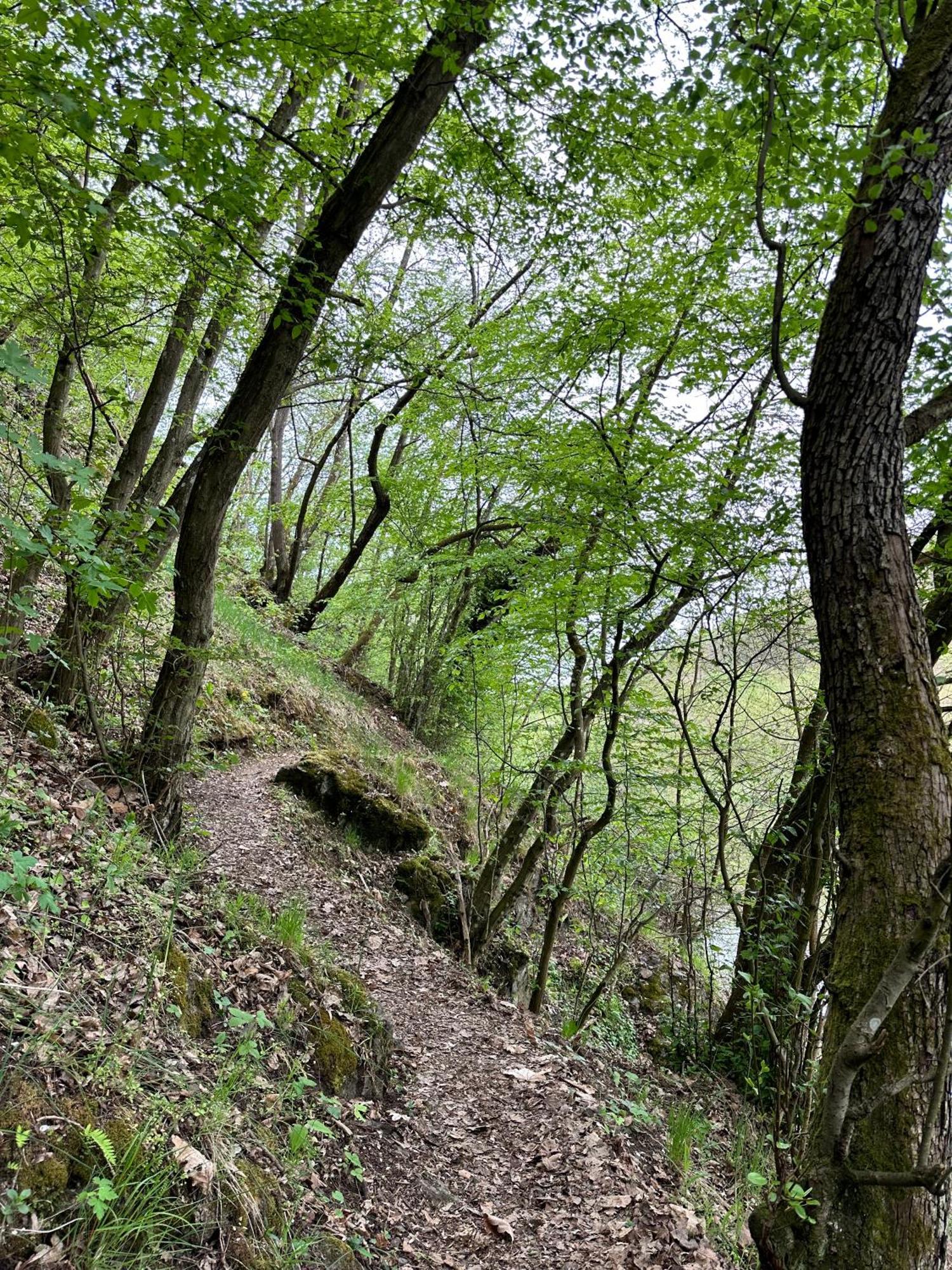 Chata Marketka Křivoklát Bagian luar foto